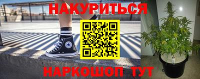прущие грибы Кунгур