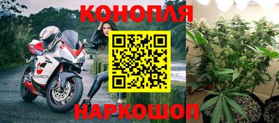 прущие грибы Кунгур