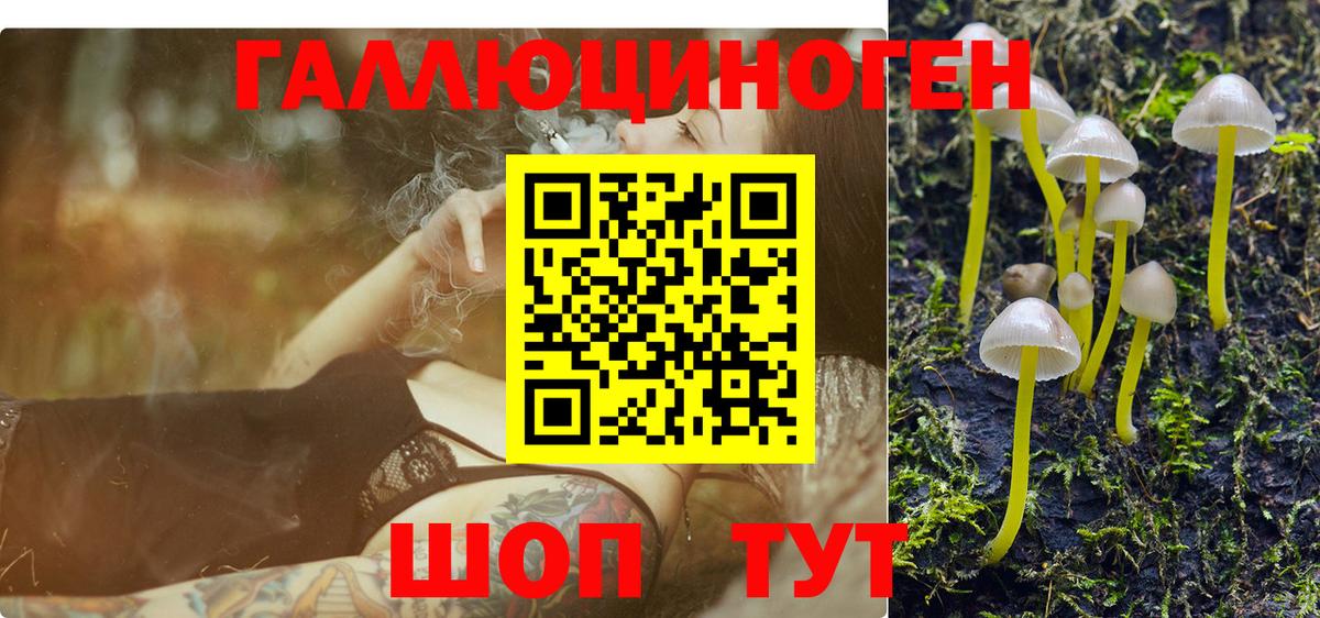 Псилоцибиновые грибы Psilocybine cubensis Добрянка