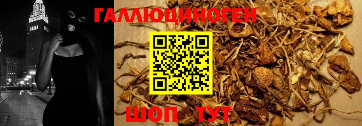 Галлюциногенные грибы Cubensis  Вход с VPN  Добрянка  Галлюциногенные грибы GOLDEN TEACHER 